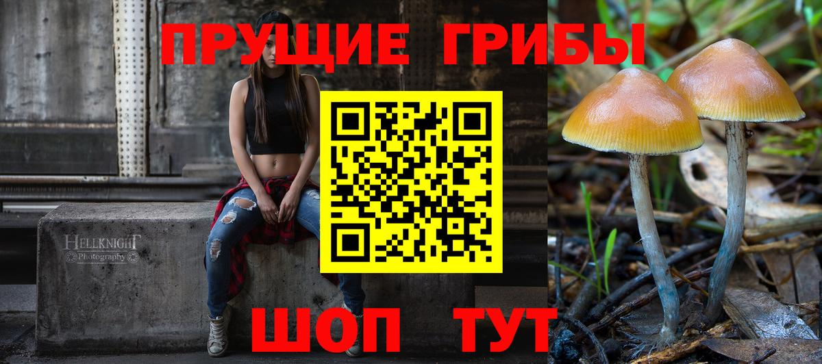 Псилоцибиновые грибы мицелий Бирск